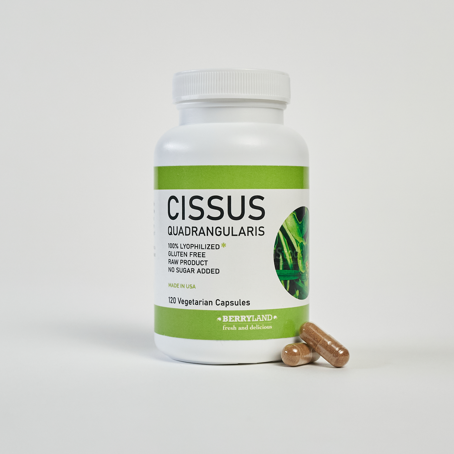 Cissus Capsule 4x