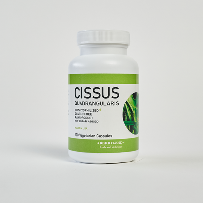 Cissus - Capsule