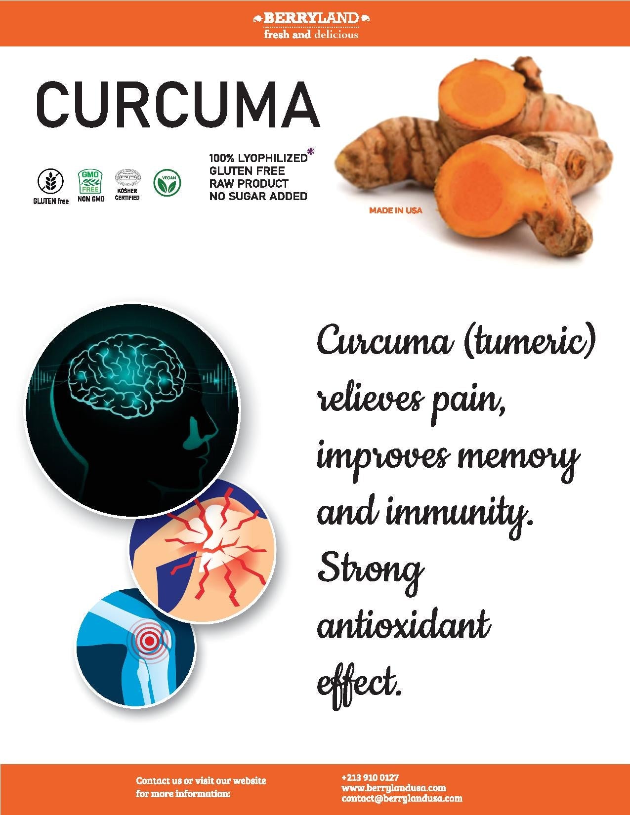 Curcuma Capsule 4x