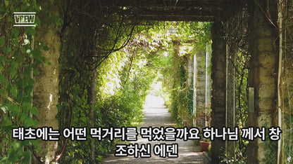 Supermix Total – Natural Power for Your Health Journey